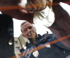 Agresywny pies na placu zabaw schwytany przez pszczyńską policję