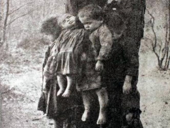 Matka powiesiła dzieci na drzewie