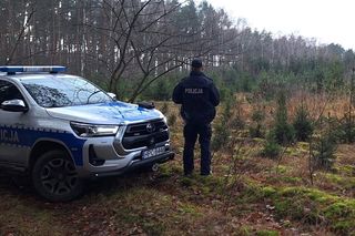 Nielegalne choinki? Policja kontroluje sprzedawane drzewka świąteczne