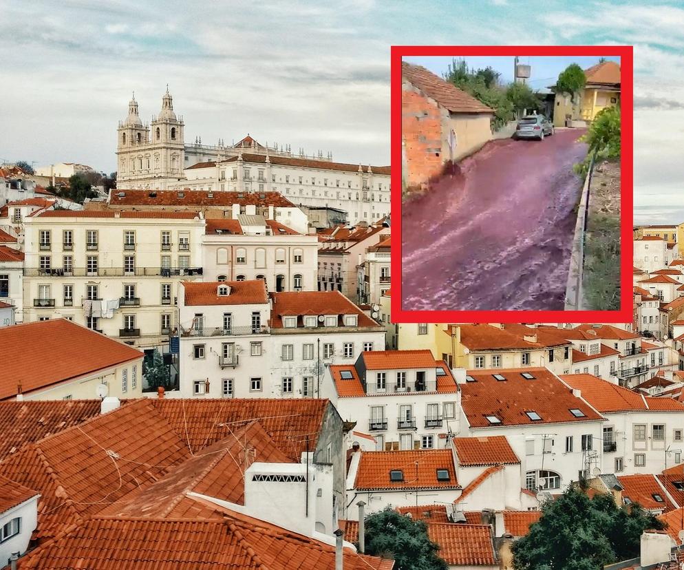 Rwąca rzeka wina popłynęła przez miasteczko w Portugalii