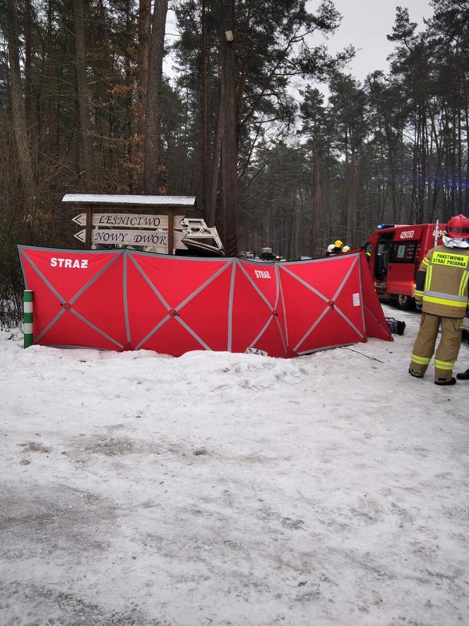 Śmiertelny wypadek w Lidzbarku. Bus uderzył w drzewo. Nie żyje młoda kobieta