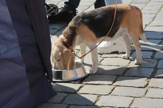 Gitarowy Rekord Świata 2025 Wrocław