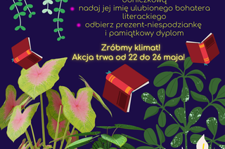 W Puławach ruszyła akcja ozdabiania Mediateki kwiatami doniczkowym