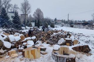 Darmowe drewno na opał do wzięcia na Podlasiu! Wsparcie trafi do tych mieszkańców 