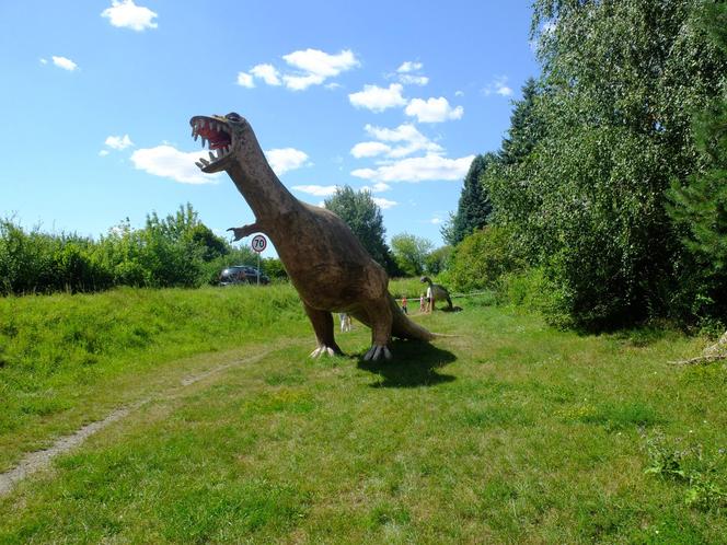 Dolina Dinozaurów na Podzamczu w Łęcznej. Przerażone konie stawały dęba