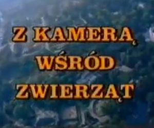 PRL-owskie programy telewizyjne