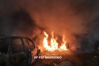 https://cms.grupazprmedia.pl/zpr_galleries_domain_photos/10554311/?_popup=1