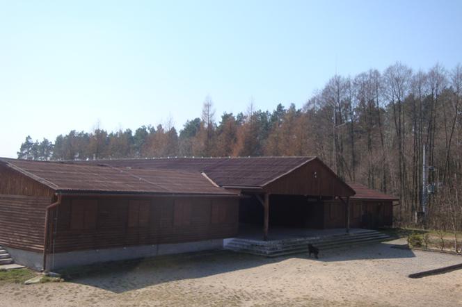 Niezapomniane wakacje? Wyślij dziecko na Obóz Gościraj 2018!