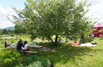Ogród Botaniczny w Kielcach