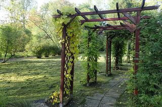 Ogród Botaniczny w Zabrzu