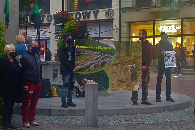 Nie oddamy Bieszczad piłom! Toruń wspiera ogólnopolski protest [AUDIO, WIDEO]