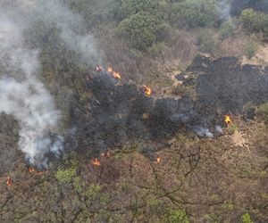 Wołomin: Płonie Natura 2000. Dym widać z wielu kilometrów