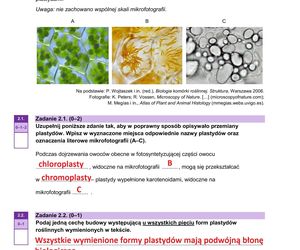Matura 2025: biologia 9.05.2025. Arkusze CKE i odpowiedzi [Formuła 2023]