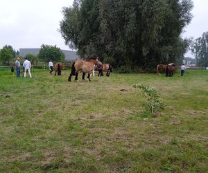 Międzynarodowe Dni z Doradztwer Rolniczym 2025 w Siedlcach
