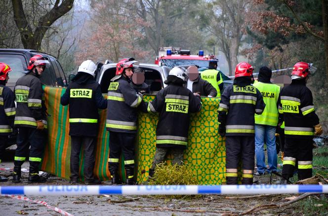 Tragiczny wypadek w Klamrach. Siedmioro nastolatków zginęło w nocy