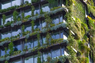 Fasady bioklimatyczne – energooszczędność w architekturze zrównoważonej
