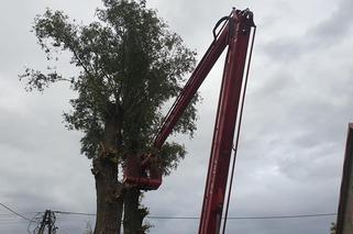 Straszna wichura przeszła przez Dolny Śląsk. Wciąż wieje!