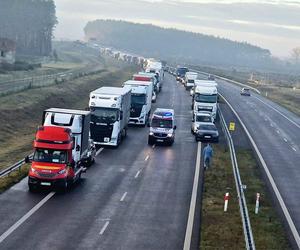 Totalna demolka pod Kołobrzegiem. Zmasakrowane auta i wielu rannych!