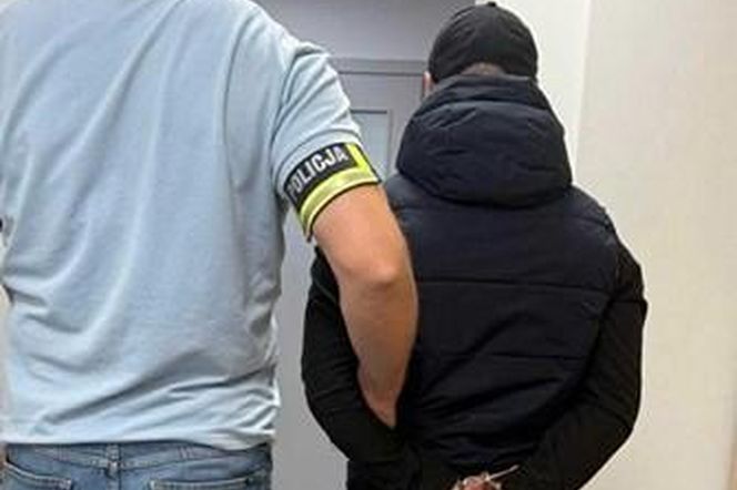 Przebywał w Gostyniu, łamał prawo. Deportowano 24-letniego cudzoziemca