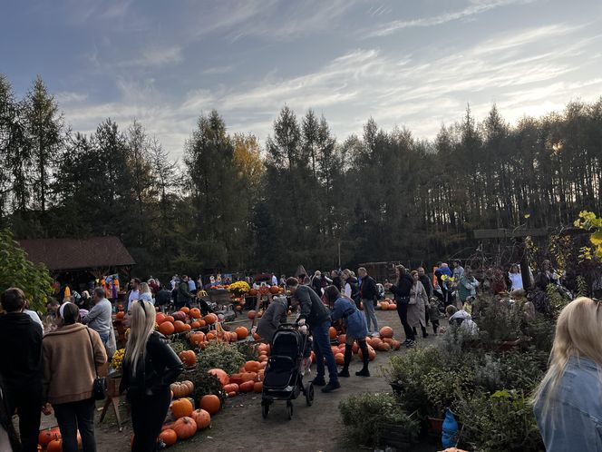 Zagroda 3 siostry w Kamieniu przyciągnęła całe rodziny w ciepły jesienny weekend ZDJĘCIA