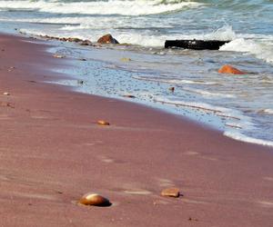 Fioletowy piasek nad Bałtykiem! Te zdjęcia wyglądają wygenerowane przez AI