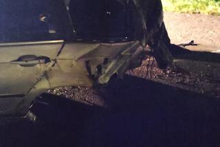 Podkarpackie. BMW wypadło z drogi [ZDJĘCIA]