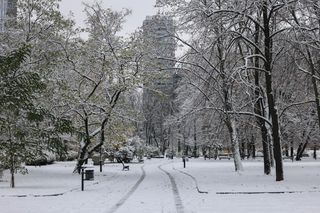 Stolica pod śniegiem 