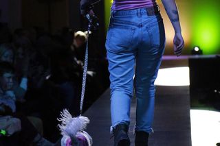 Majtki z Sosnowca pokazują bieliznę. Dla zwierząt