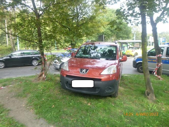 Mistrzowie parkowania w Katowicach nie boją się mandatów