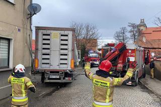 Ciężarówka z drobiem wjechała w budynek
