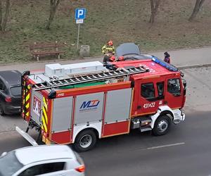 Koszmarny wypadek w Białkowie koło Golubia-Dobrzynia. Przemysław podpalił auto żony, a potem rozbił się na drzewie