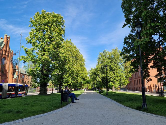 Plac Kościeleckich rozkwita na wiosnę. Bydgoszczanie chętnie wybierają go na spacer