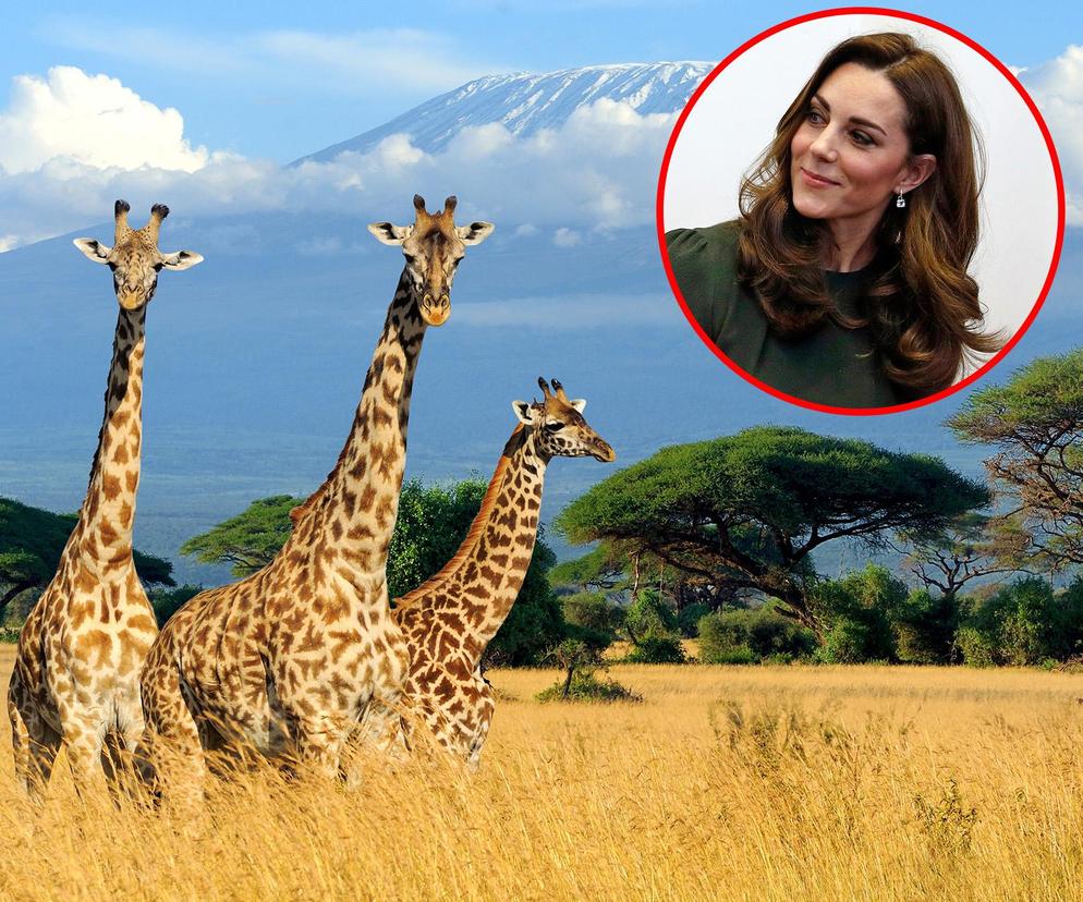Księżna Kate wyjedzie do Afryki! Miejsce bliskie jej sercu