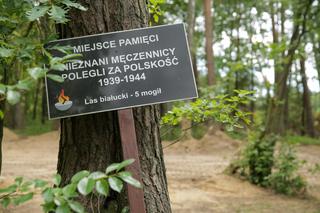 Masowe groby z prochami ofiar KL Soldau. Przerażające odkrycie w Lesie Białuckim! [ZDJĘCIA]
