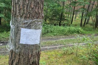 Wieś Wilcze leży na granicy dwóch województw