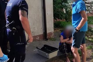 Wyrzuciła psa przez okno