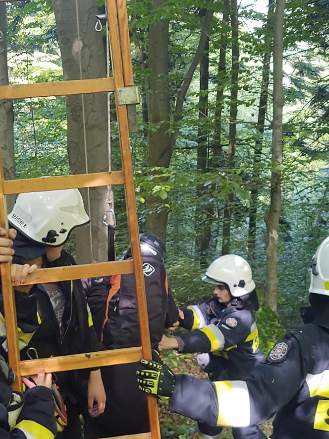 Skrzętla-Rojówka: Paralotniarz wylądował na drzewie i nie mógł zejść. Ratowali go strażacy