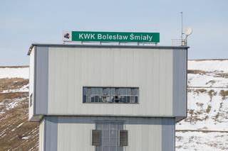 Raport Greenpeace. Kto zatruł Odrę? Naukowcy mówią o kopalniach ze Śląska