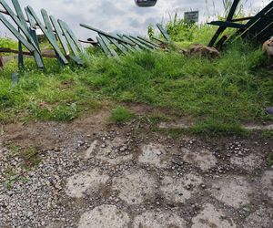 Staruszka wjechała samochodem do stawu! Dramatyczna akcja strażaków