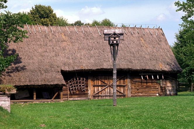 Muzeum Wsi Mazowieckiej - skansen w Sierpcu