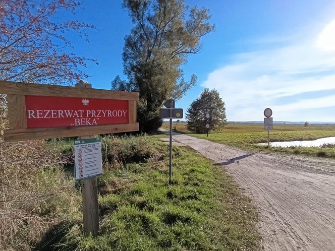 Rezerwat Przyrody BEKA