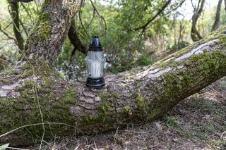 20-letni Milan miał wielkie marzenia, ale nigdy ich nie spełni. Co stało się nad Wartą? Dramatyczny apel ojca