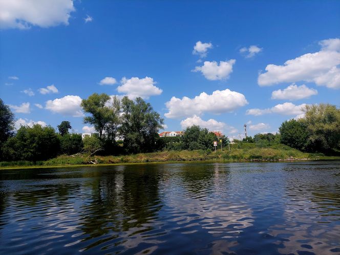 Wisła w Fordonie zaprasza turystów. Można popływać drewnianą łodzią i poczuć tę samą bryzę, co kiedyś flisacy