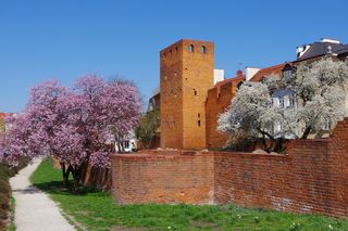 Starówka (od)NOWA. Znamy szczegółowy program urodzinowej imprezy Starego Miasta. Na scenie same gwiazdy!