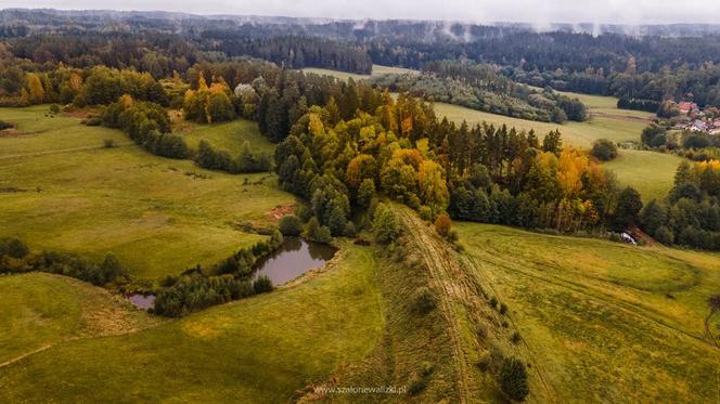 Szalone Walizki: Mazury Garbate