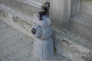 Nowe WidziMisie w Białymstoku! Pojawiły się kolejne rzeźby ulubionych białostockich niedźwiadków