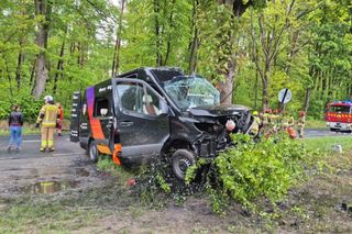 Wypadek pod Radomskiem. Bus wbił się w drzewo! Sześć osób w szpitalu, droga zablokowana [ZDJĘCIA]