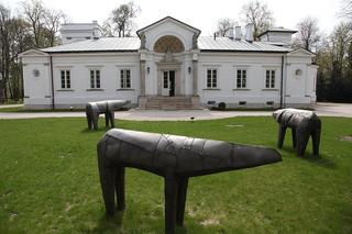 Centrum Rzeźby Polskiej w Orońsku sprzeciwia się budowie biogazowni [AUDIO]