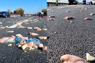 Deszcz mrożonego mięsa na autostradzie A4. Nietypowe skutki kolizji pod Krakowem