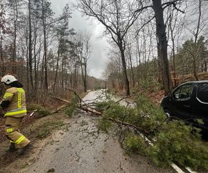 Wichura w województwie pomorskim.